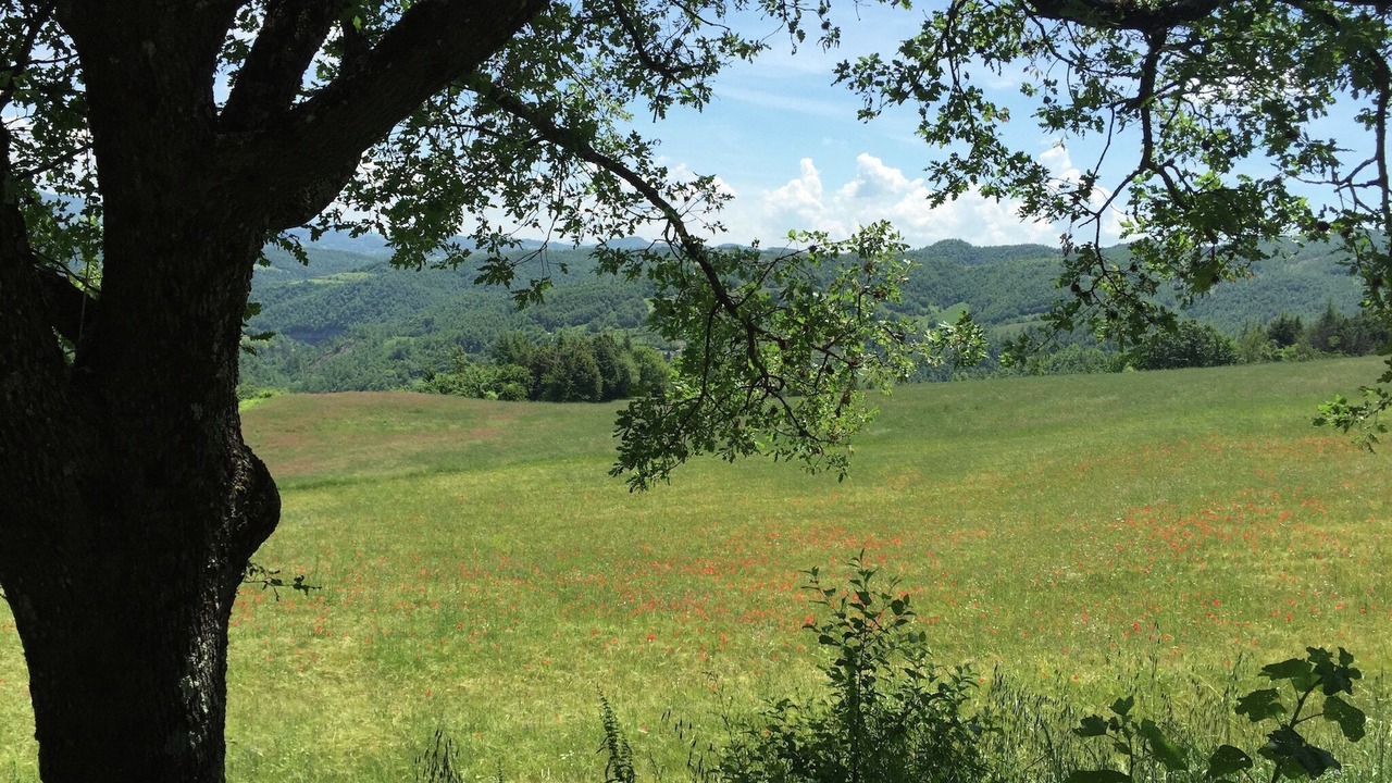 Photo of Others in Apecchio