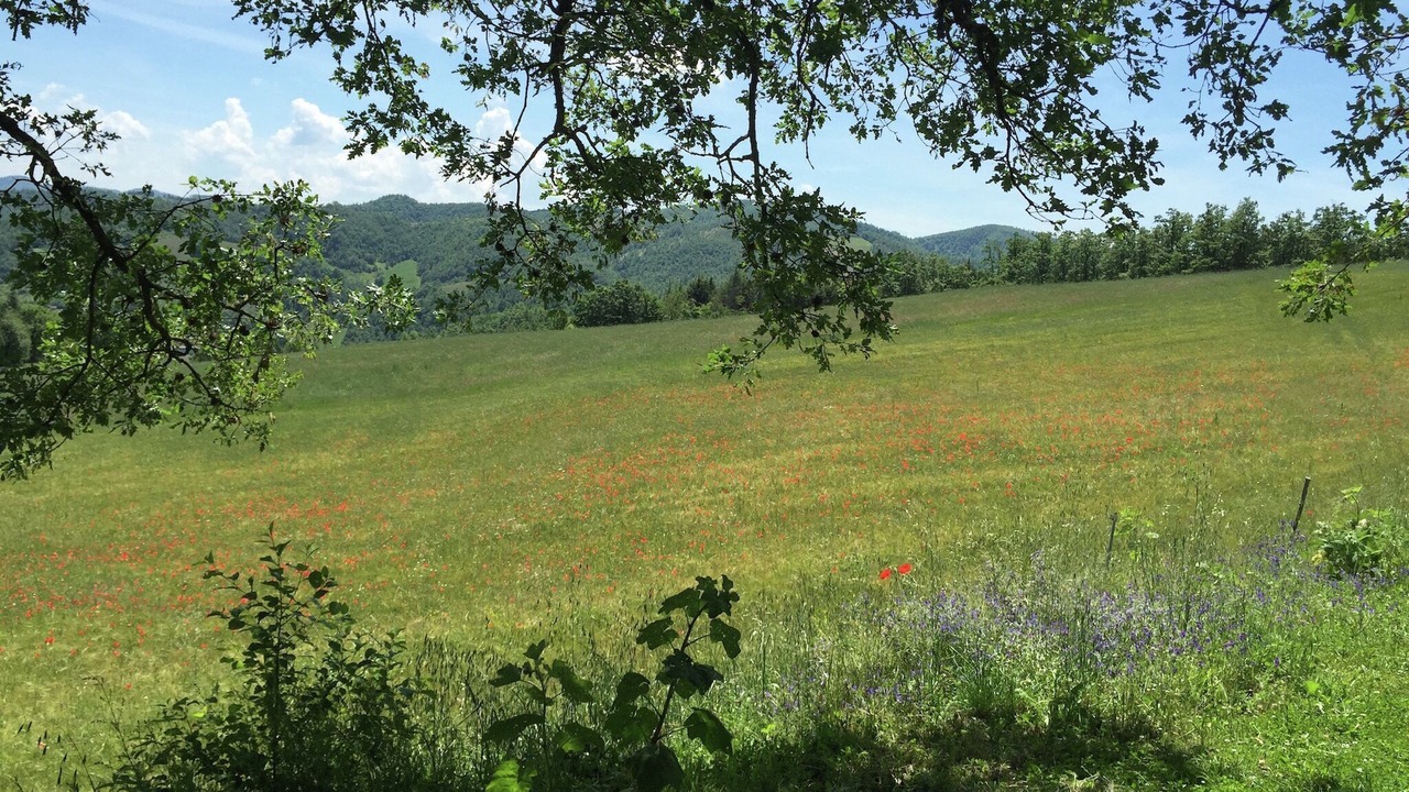 Photo of Others in Apecchio