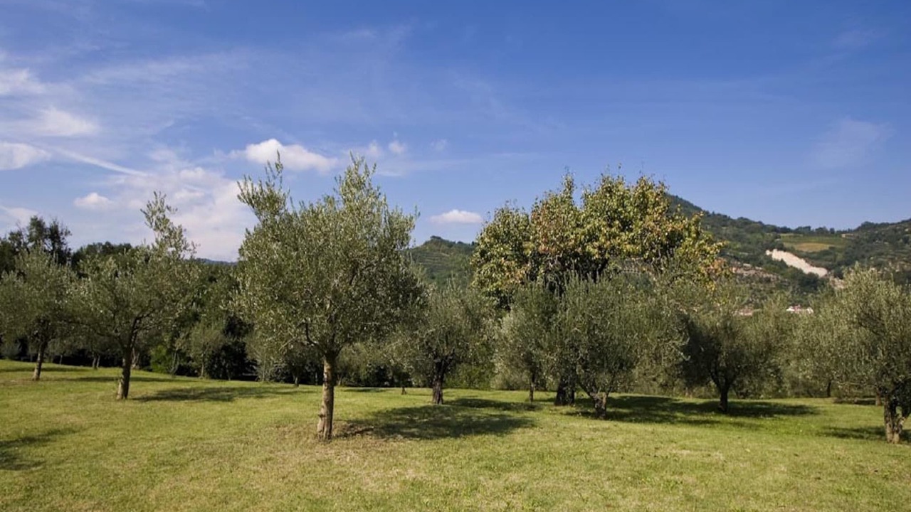 Photo of Outdoor in Brisighella