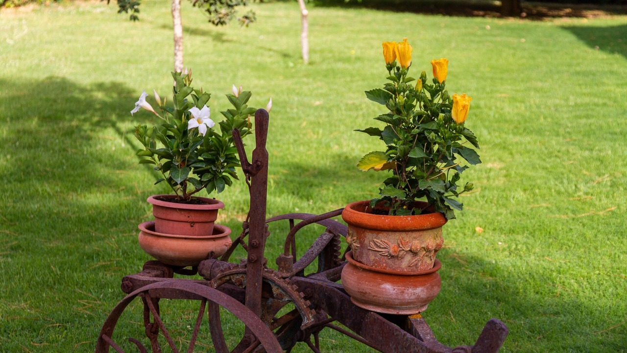 Photo of Outdoor in Roccastrada