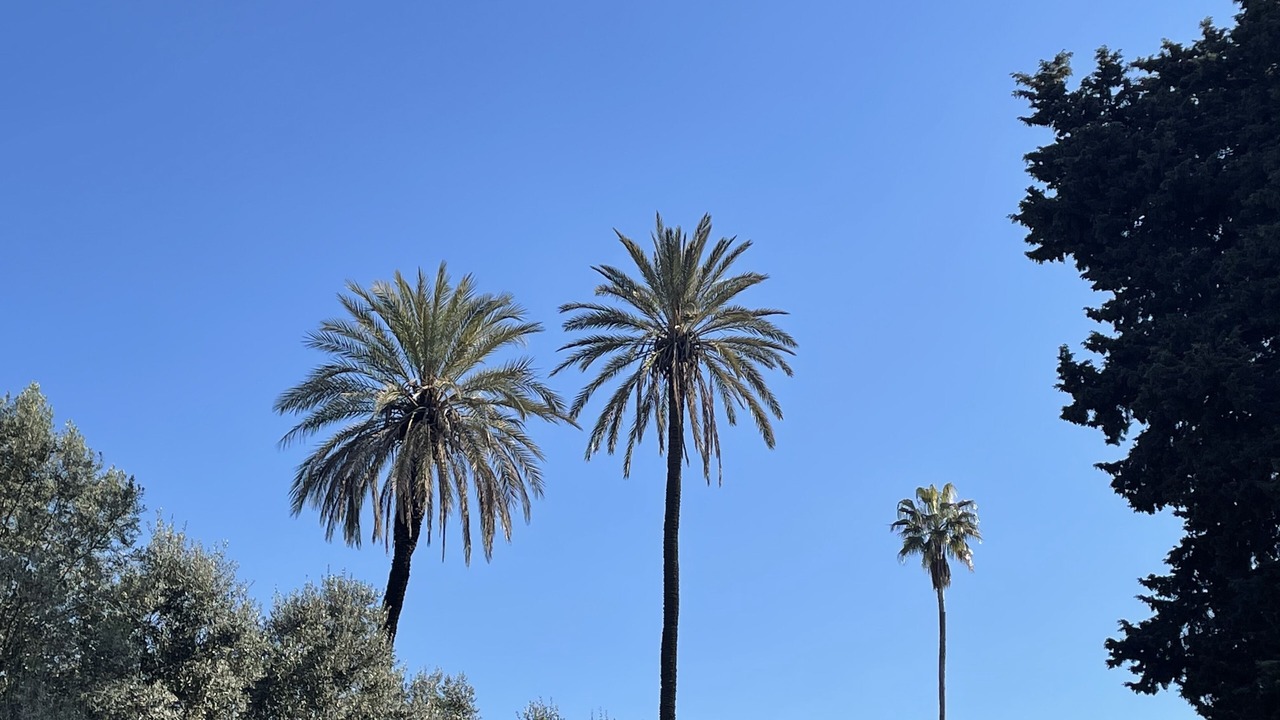 Photo of Outdoor in Monti