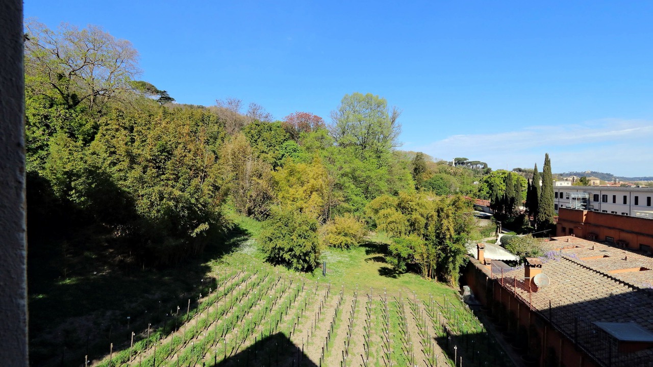 Photo of Outdoor in Trastevere