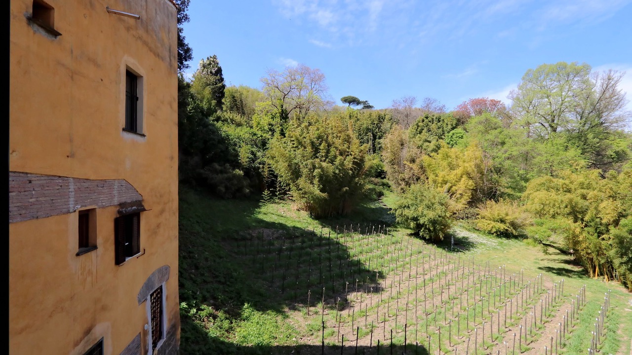Photo of Outdoor in Trastevere