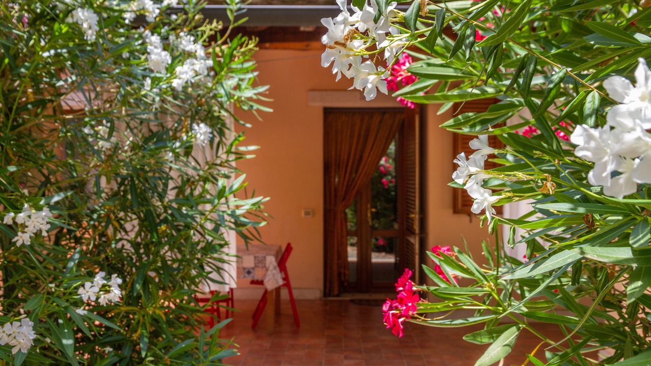 Photo of Outdoor in Grosseto