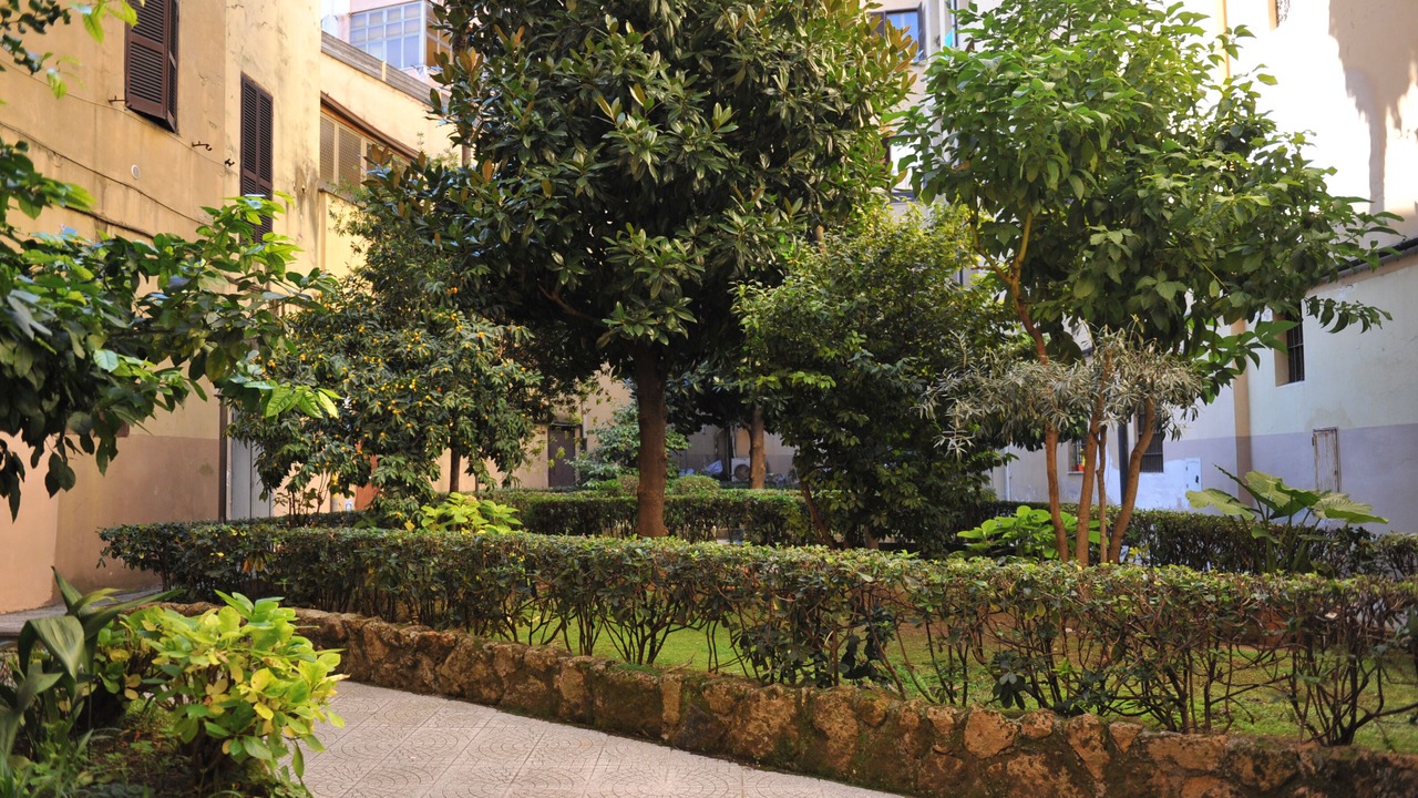 Photo of Outdoor in Vatican