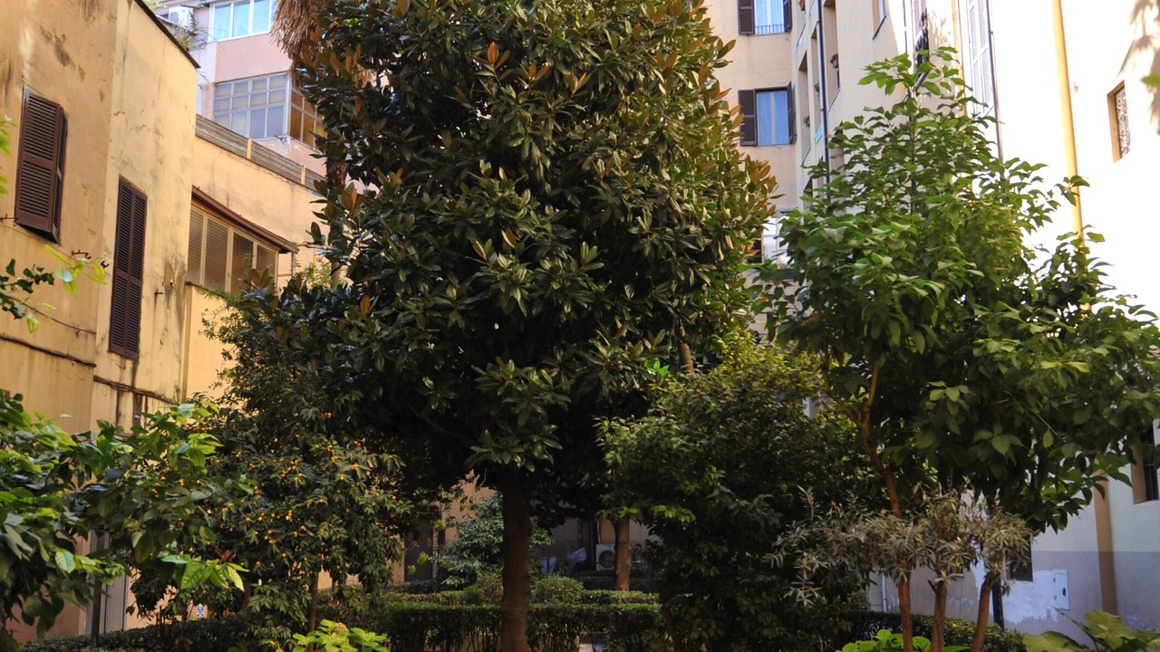 Photo of Outdoor in Vatican