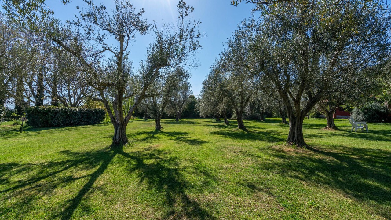 Photo of Others in Montalto di Castro