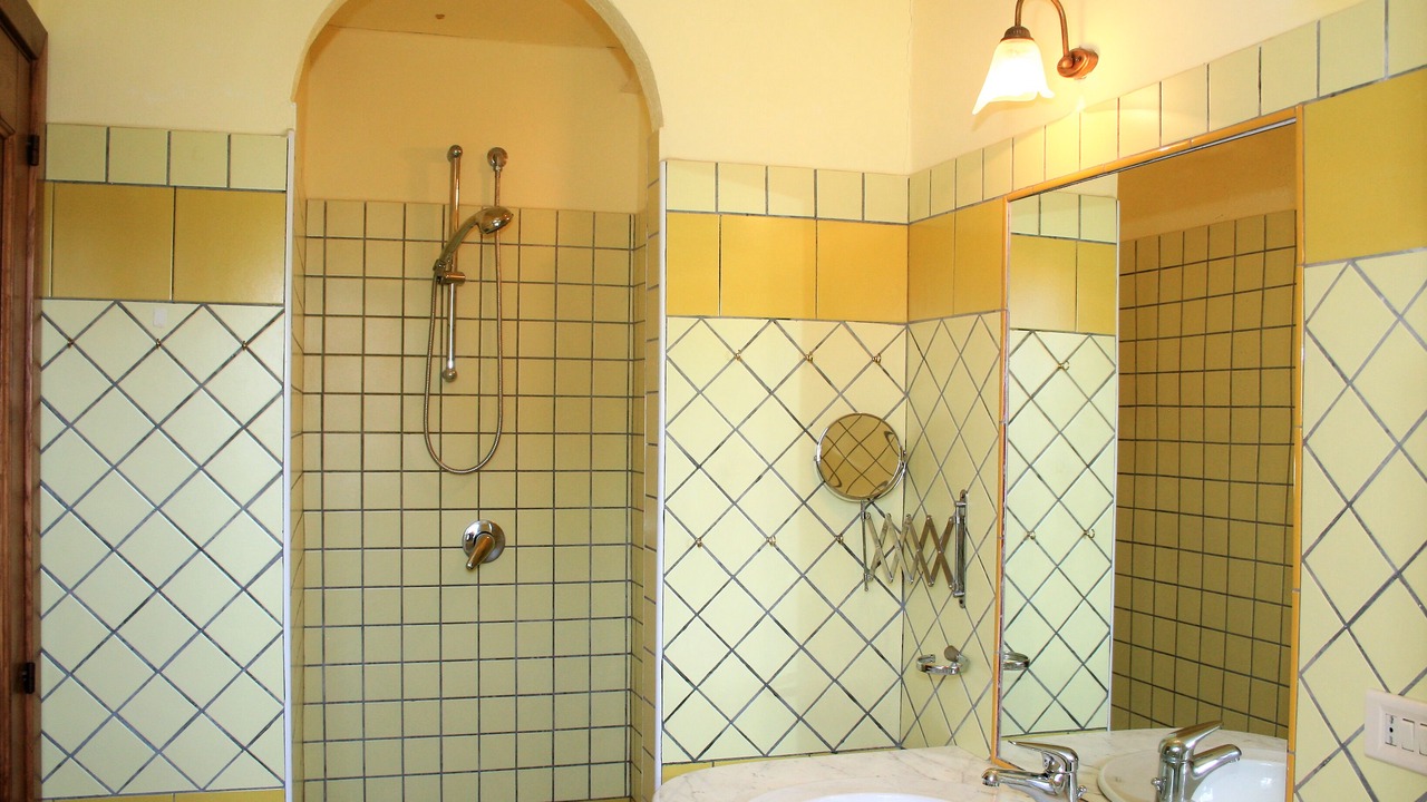 Photo of Bathroom in Alani