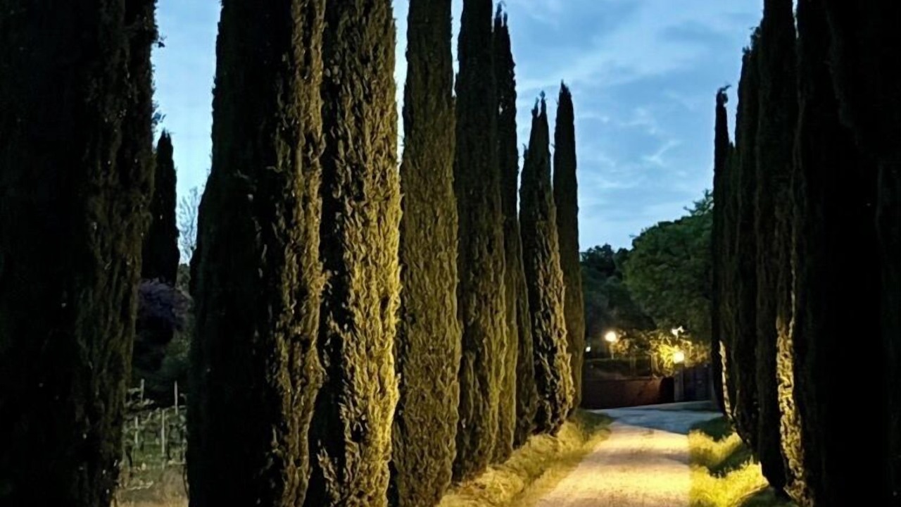 Photo of Outdoor in Magione
