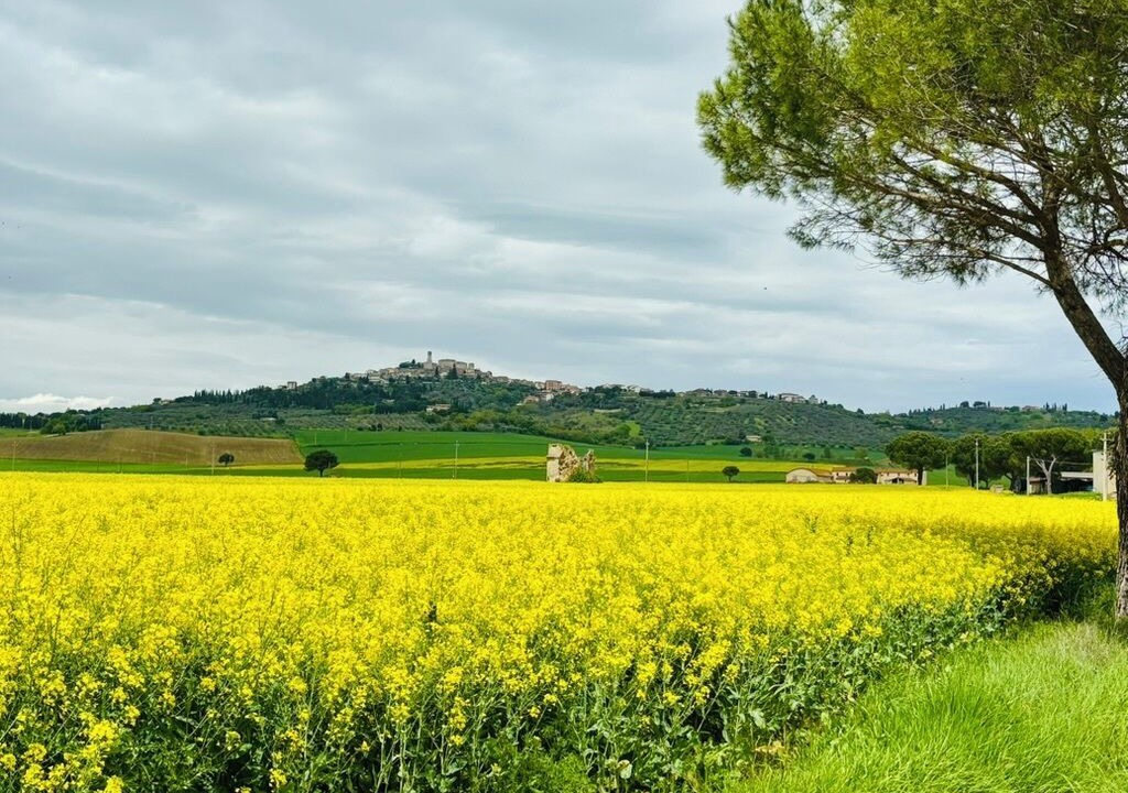 Photo of Others in Magione
