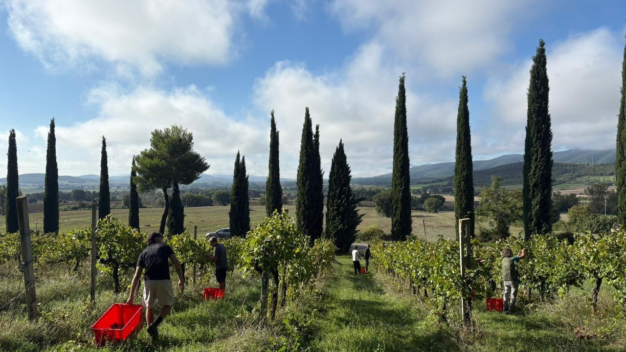 Photo of Others in Magione
