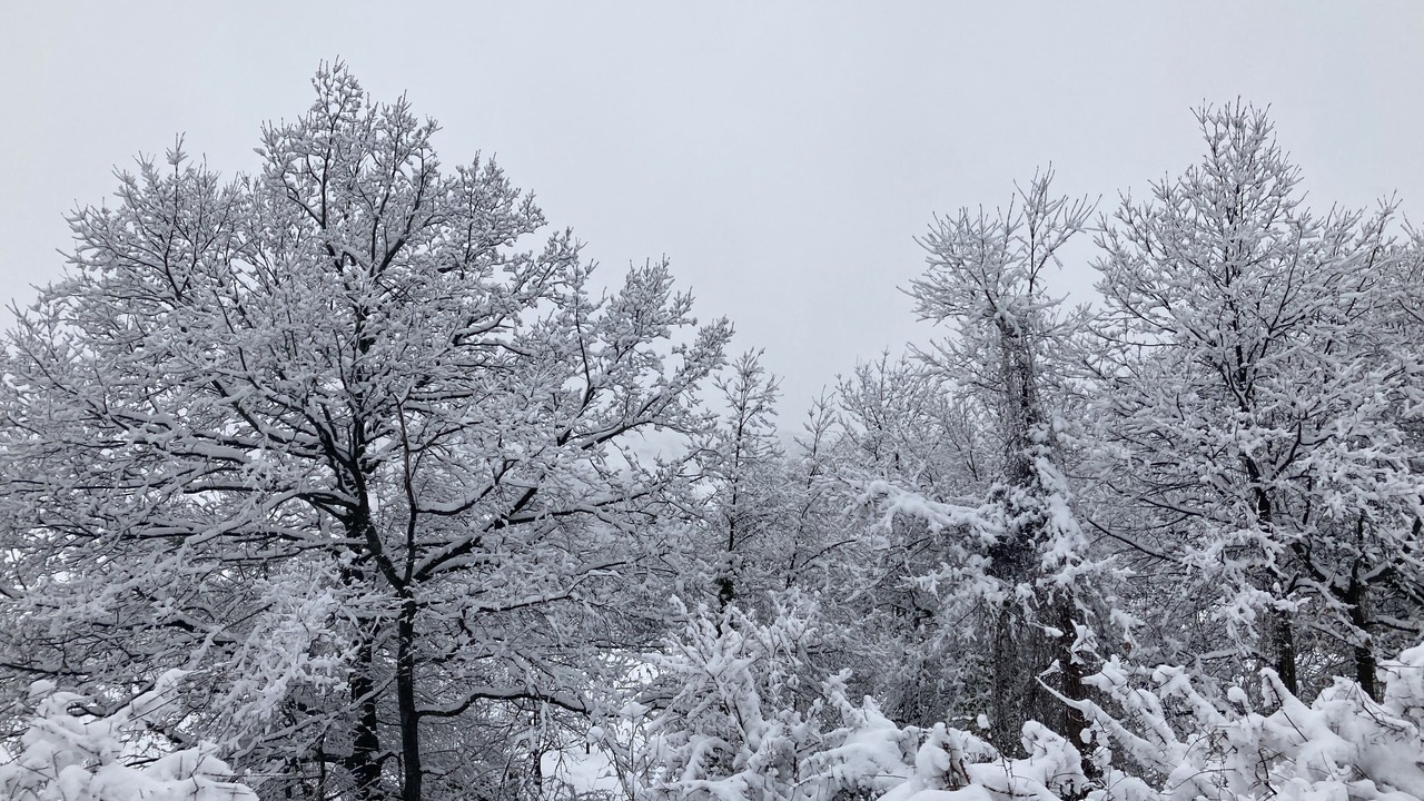 Photo of Outdoor in Castelmezzano