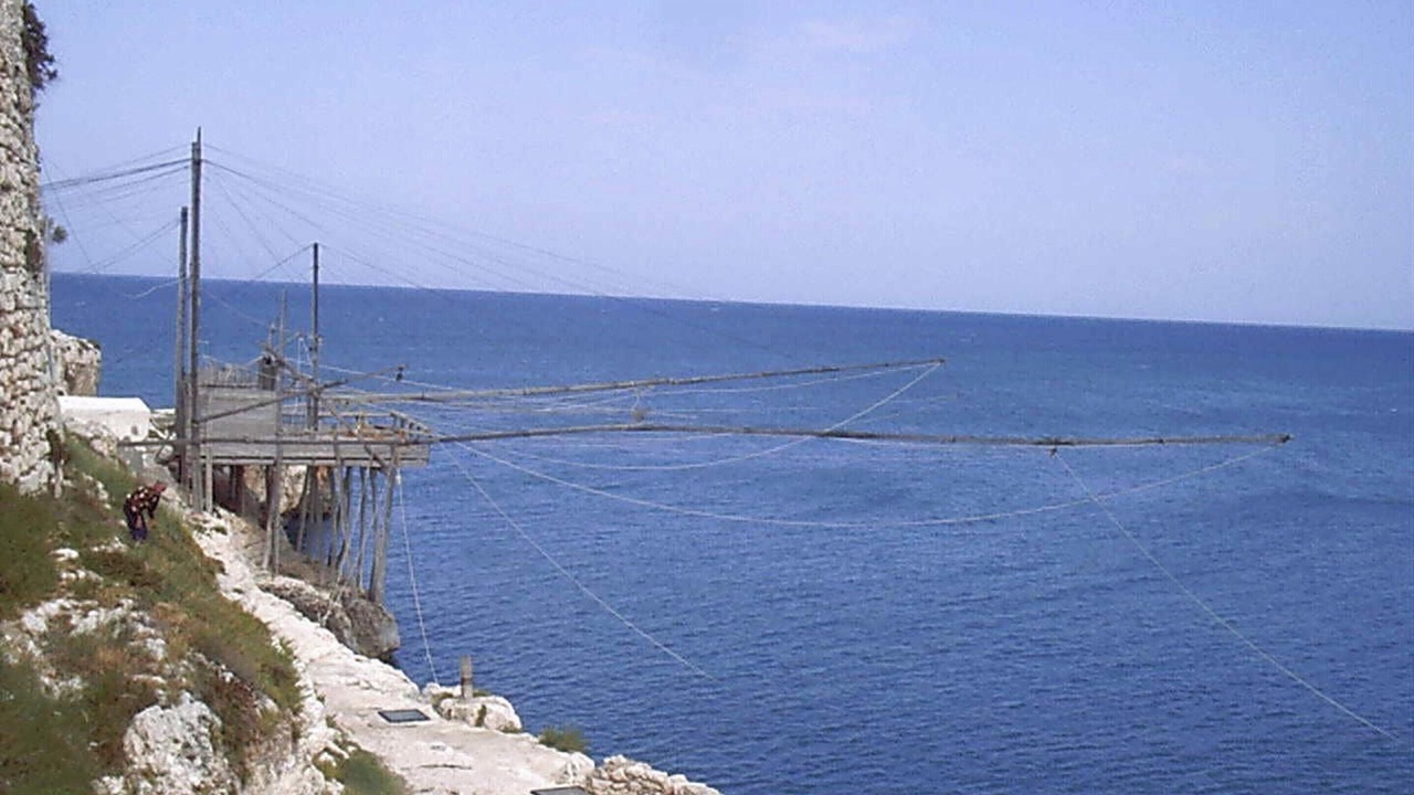 Photo of Others in Vieste