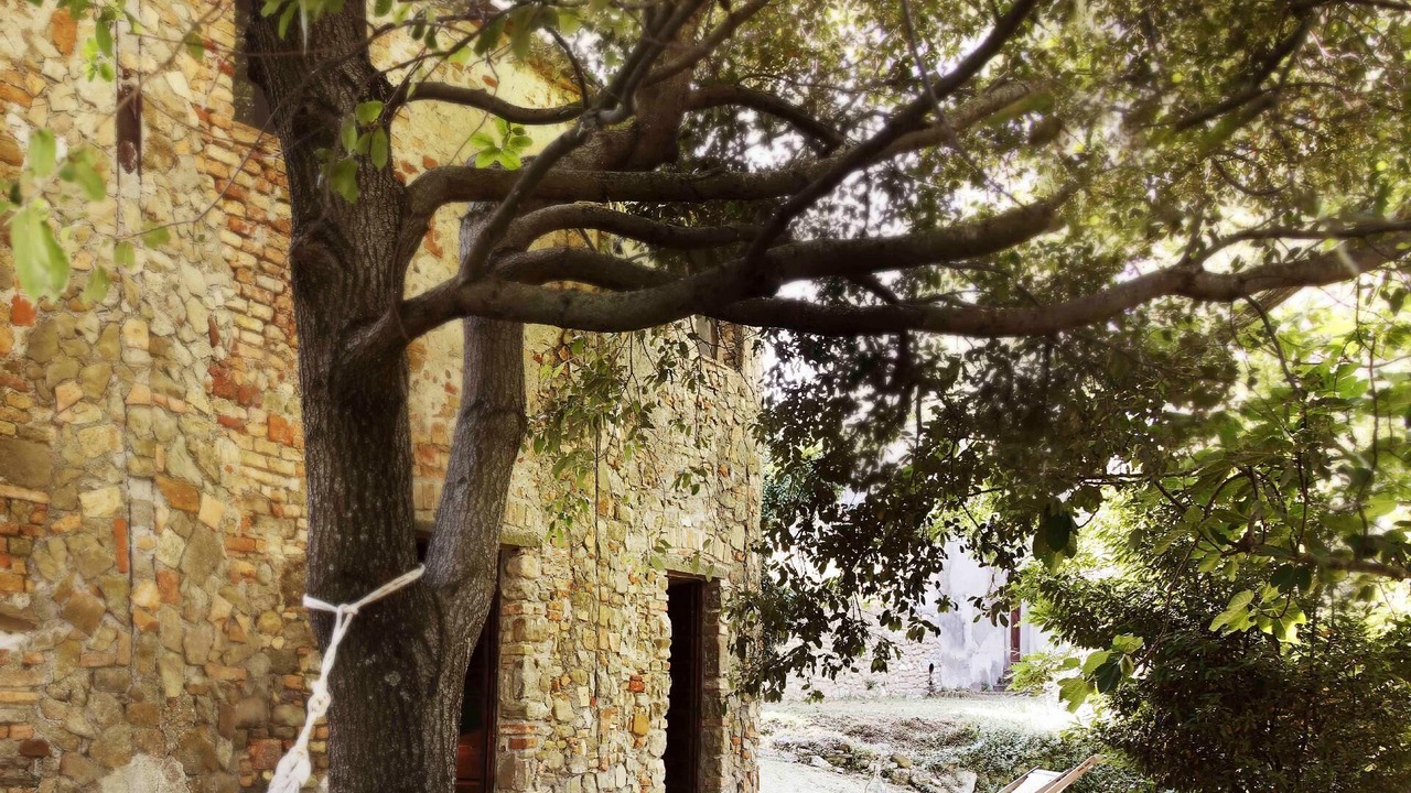 Photo of Outdoor in Gello