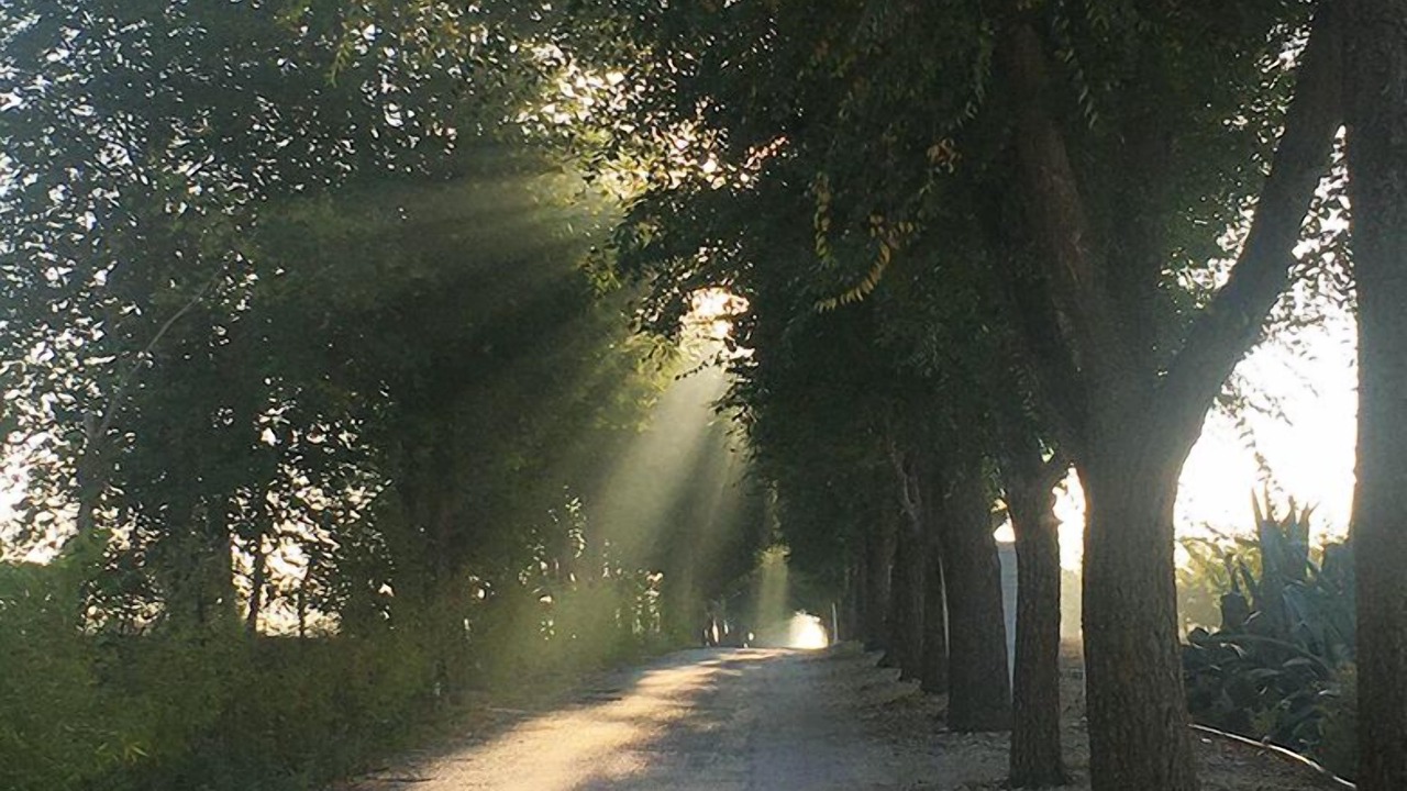 Photo of Outdoor in Cerignola