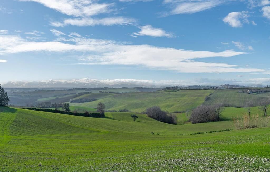 Photo of Others in Montelupone