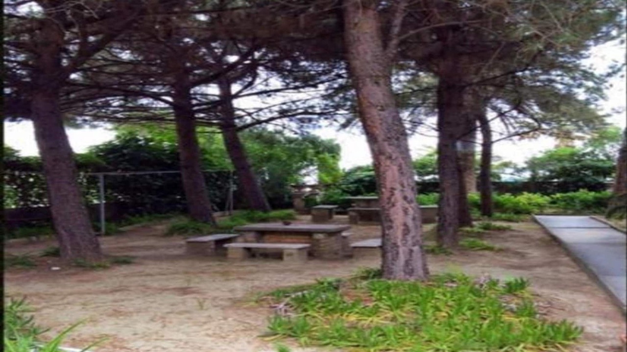 Photo of Others in Alba Adriatica
