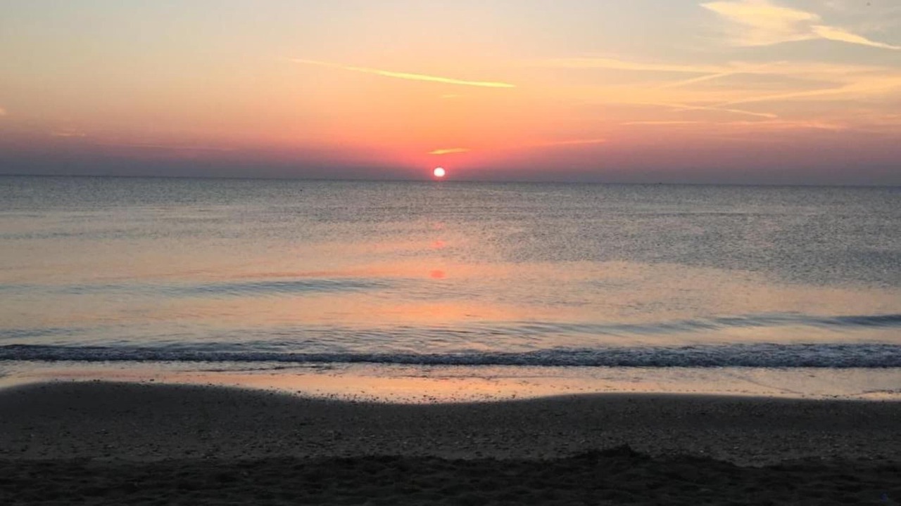 Photo of Others in Alba Adriatica
