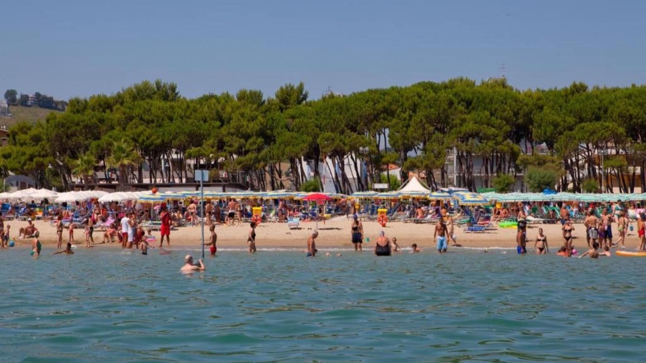 Photo of Others in Alba Adriatica