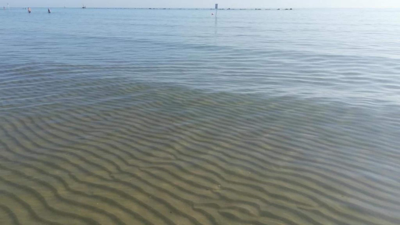 Photo of Others in Alba Adriatica