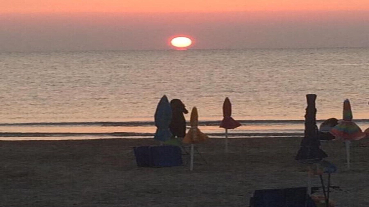 Photo of Others in Alba Adriatica