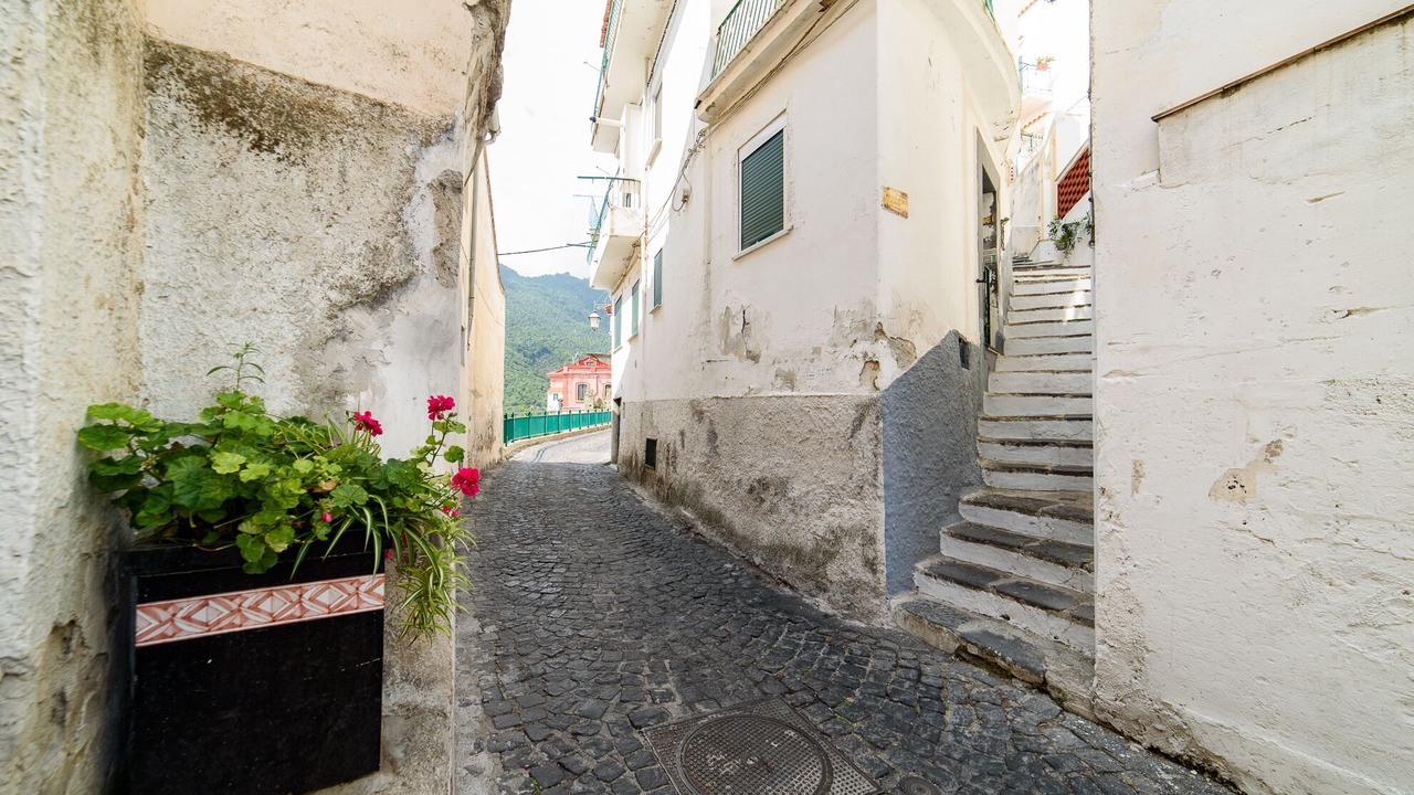 Photo of Outdoor in Raito