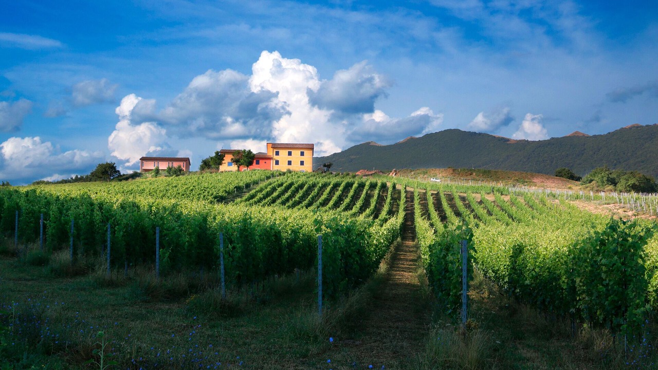Photo of Outdoor in Matelica