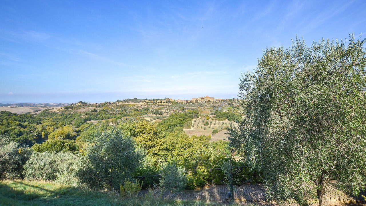 Photo of Others in Trequanda