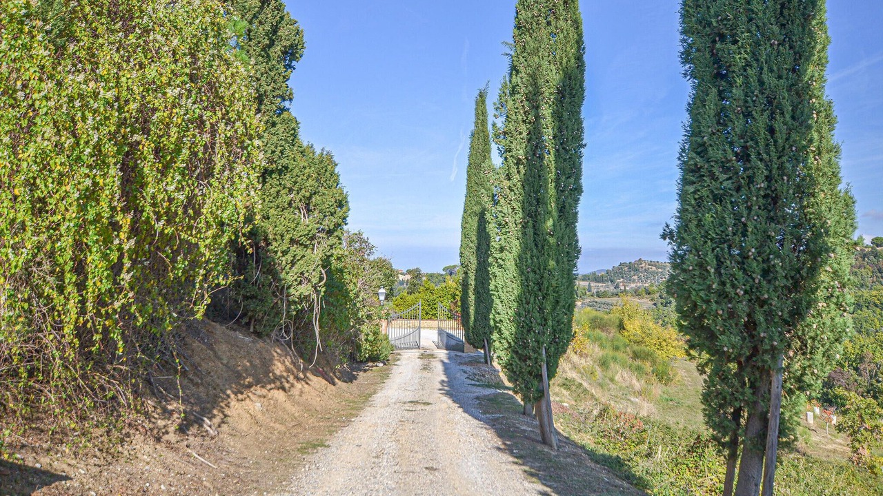 Photo of Others in Trequanda