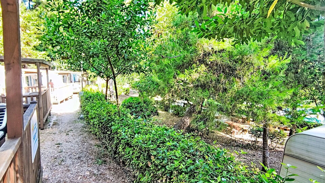 Photo of Outdoor in Vico del Gargano