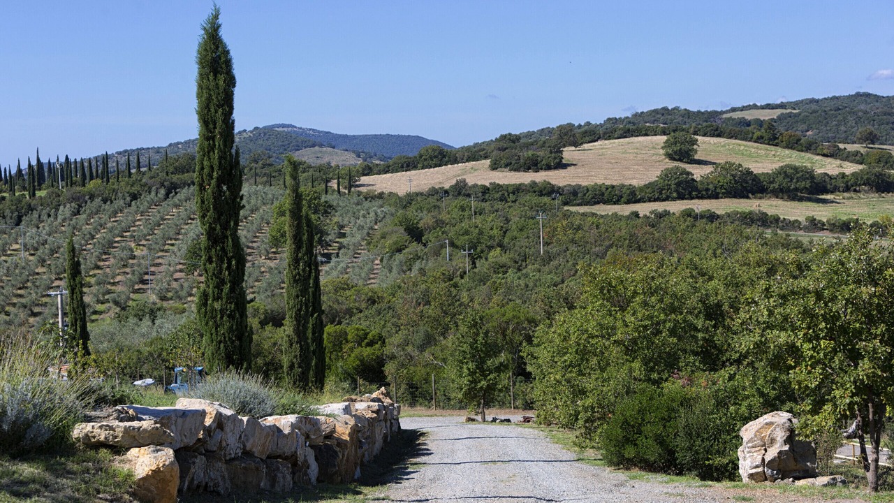 Photo of Others in Campagnatico
