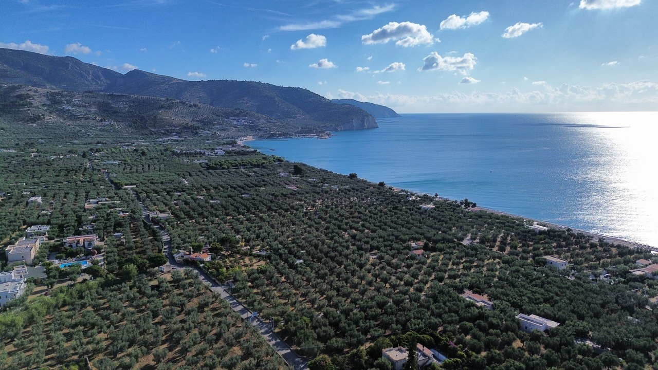 Photo of Outdoor in Mattinata
