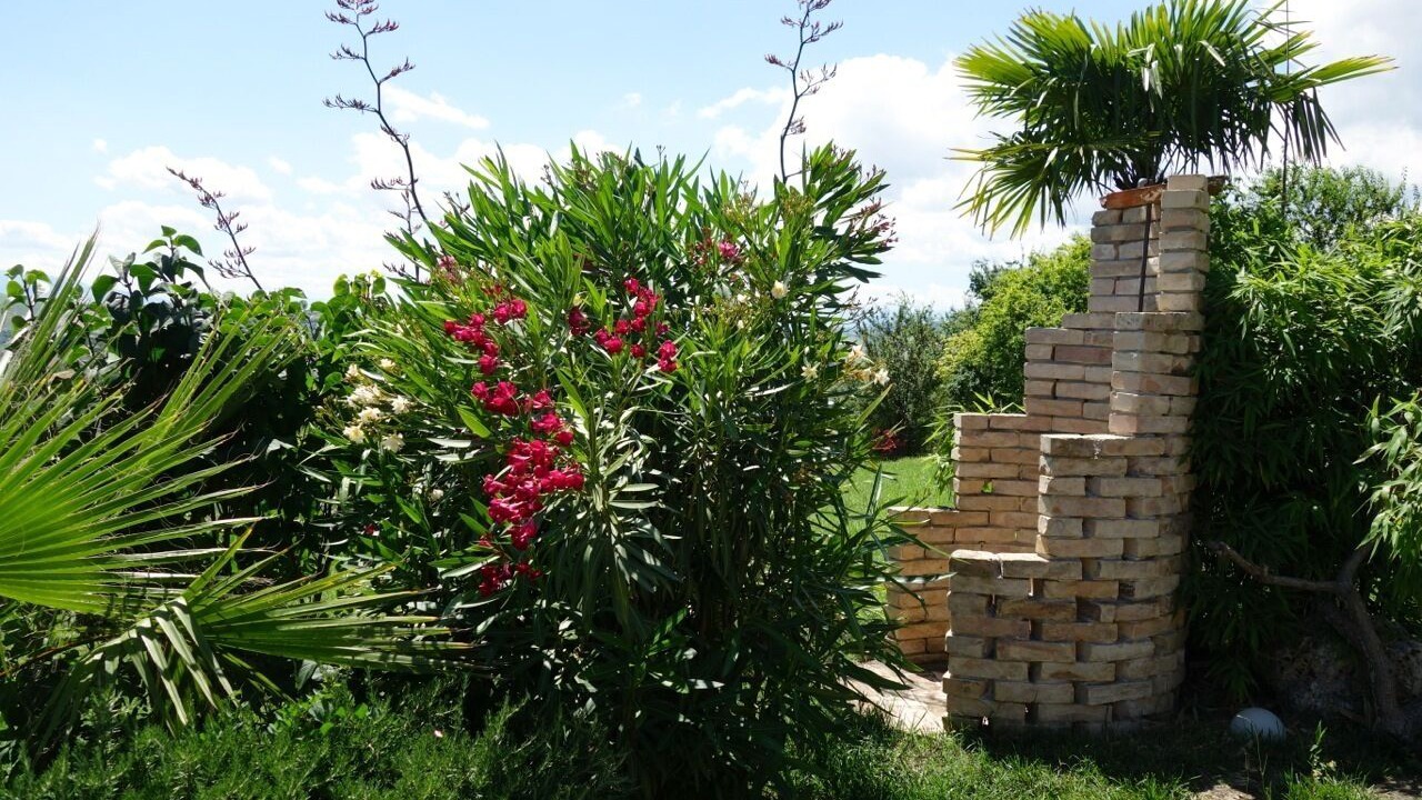 Photo of Outdoor in Montefiore dell'Aso