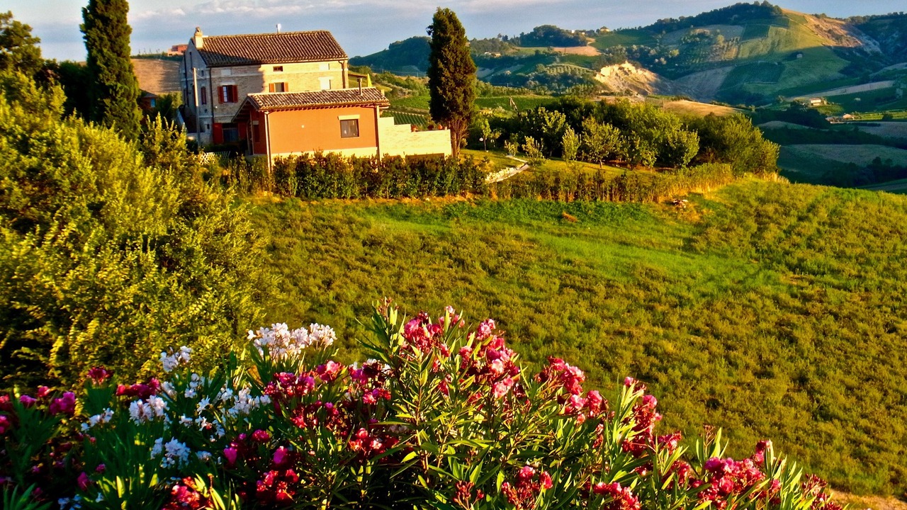 Photo of Outdoor in Montefiore dell'Aso