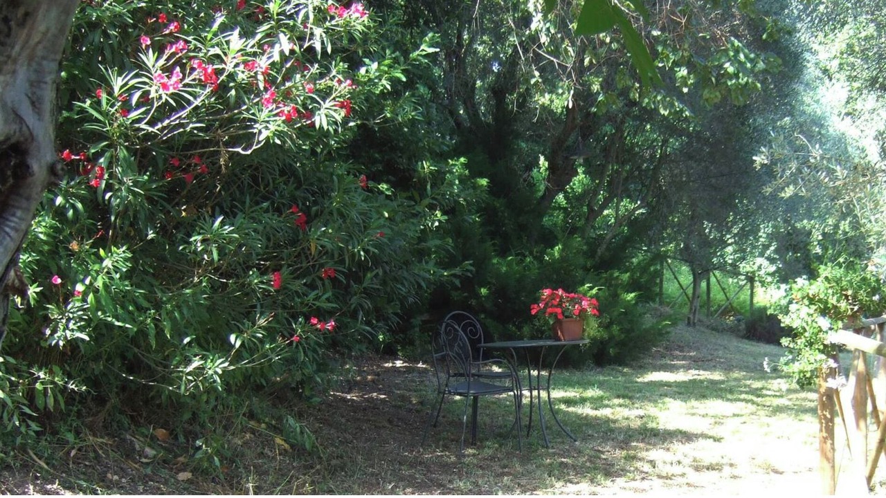Photo of Outdoor in Monte San Vito