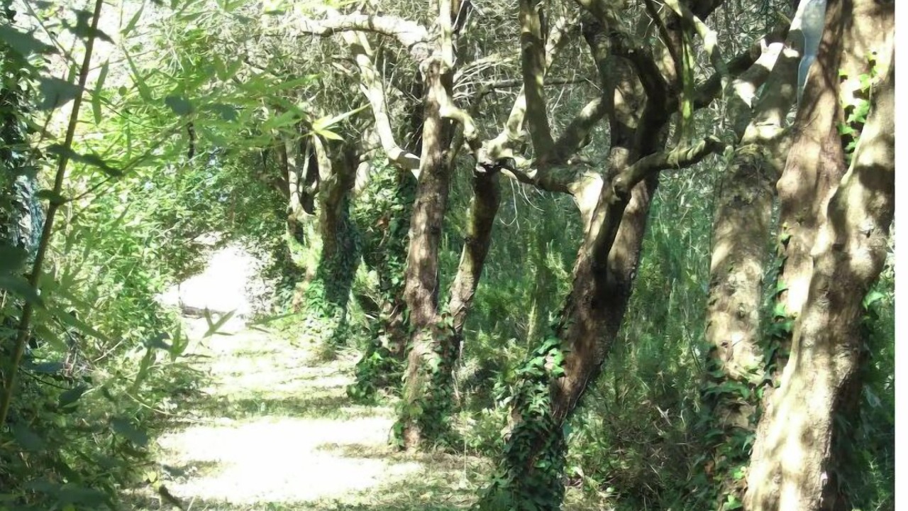 Photo of Outdoor in Monte San Vito