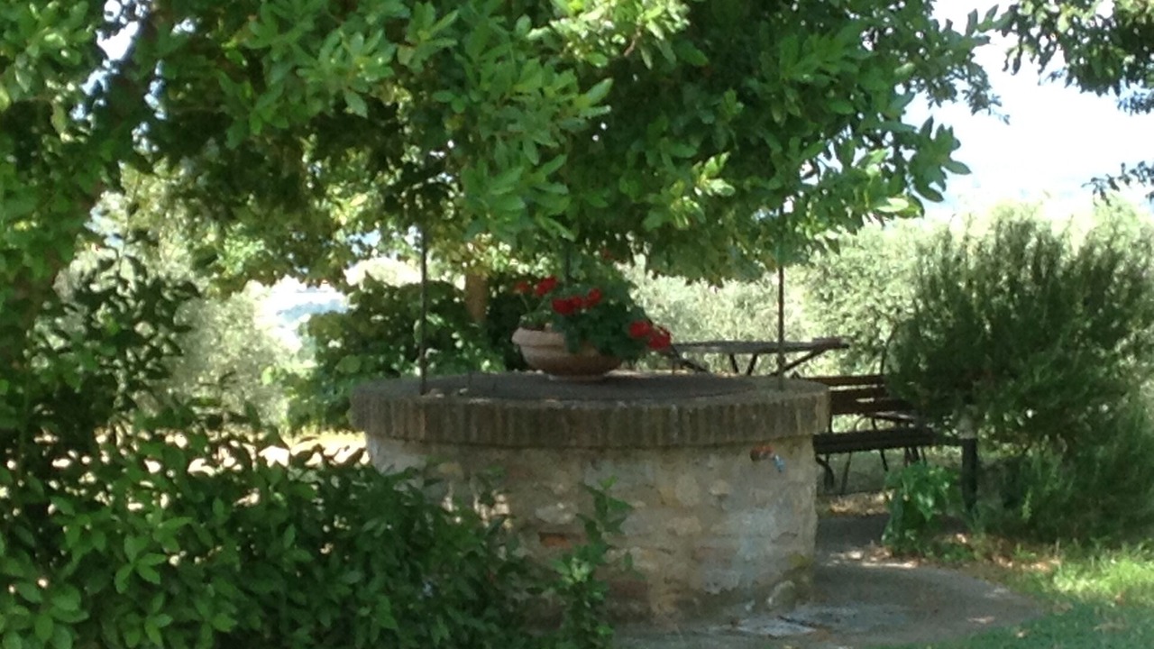 Photo of Outdoor in Monteleone d'Orvieto