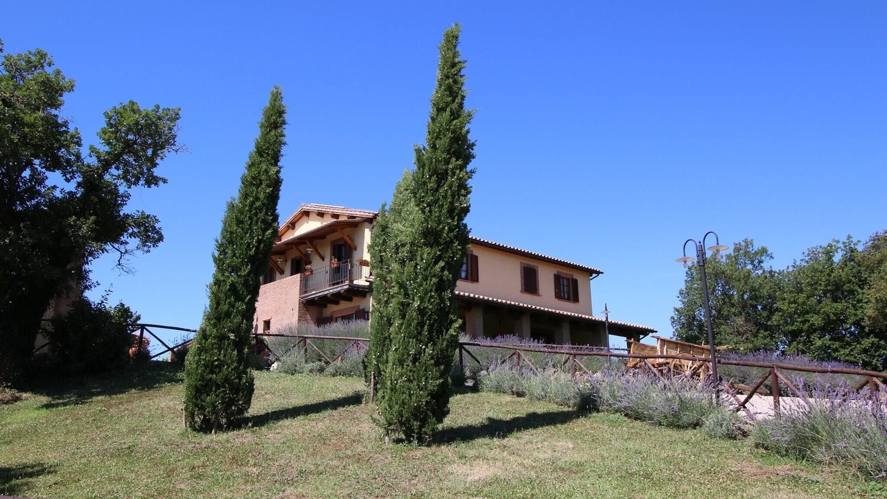 Photo of Outdoor in Montefiascone
