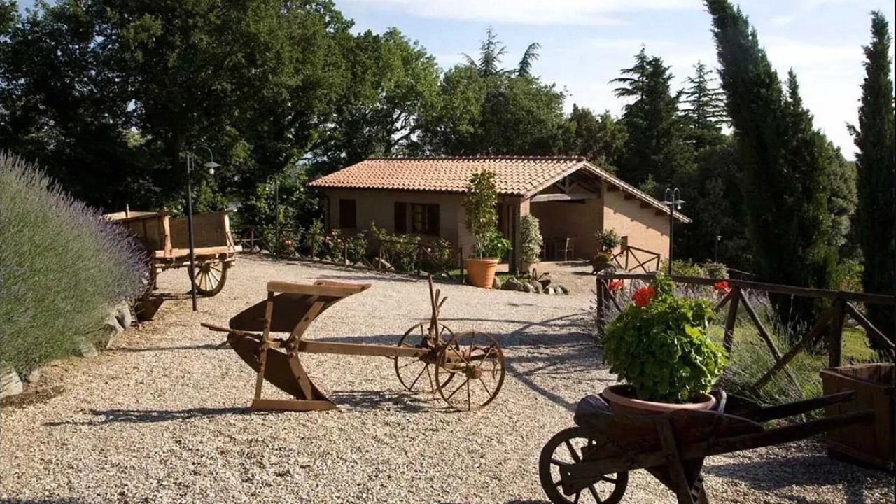 Photo of Outdoor in Montefiascone