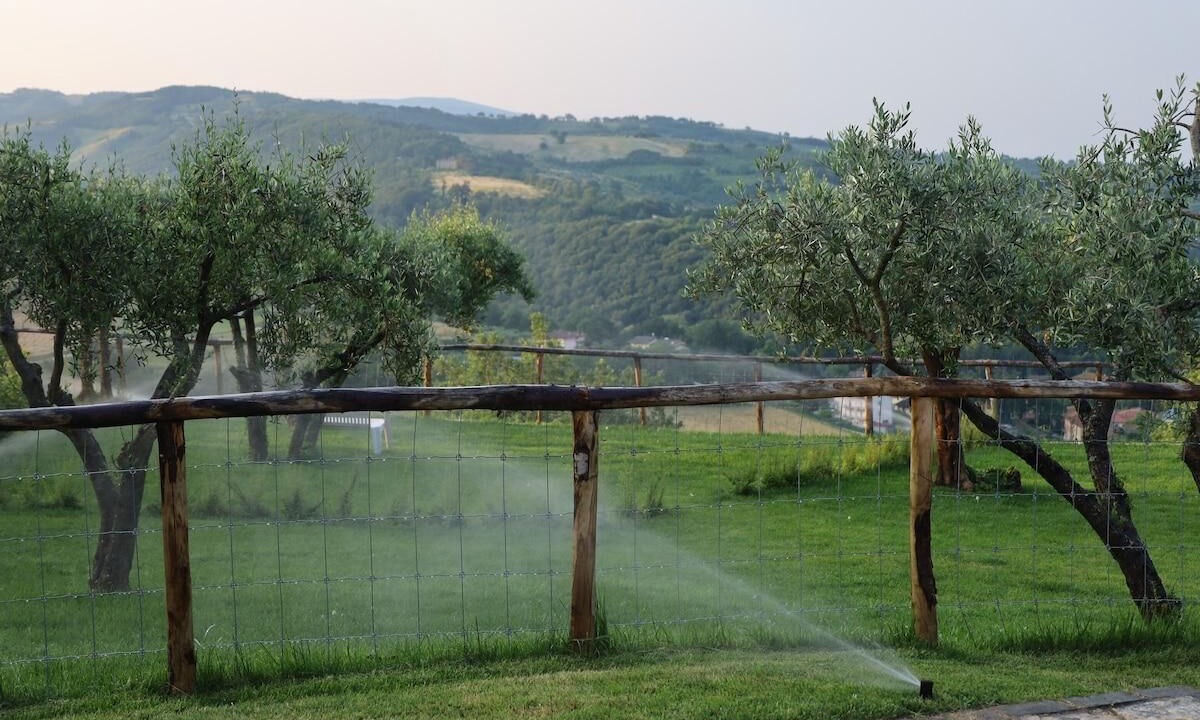 Photo of Outdoor in Castel d'Arno