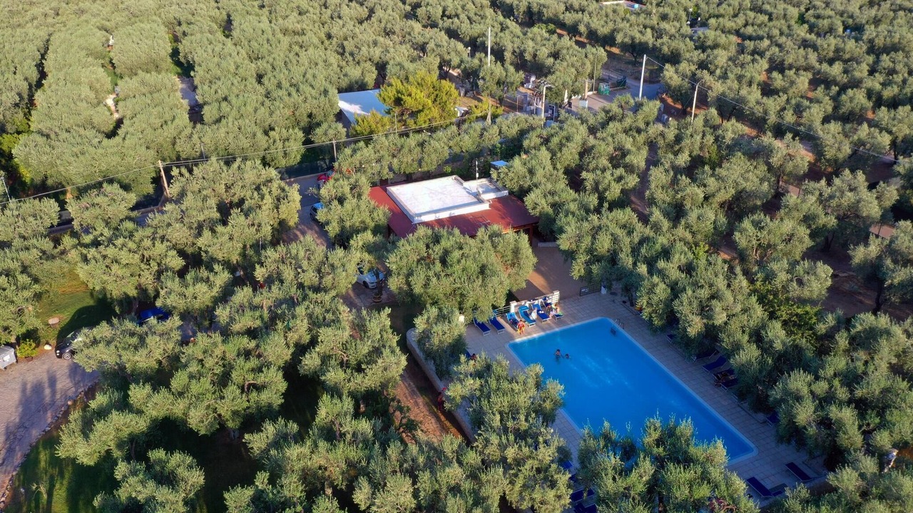 Photo of Outdoor in Mattinata