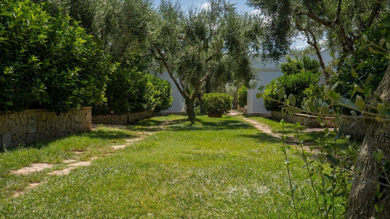 Photo of Outdoor in Mattinata