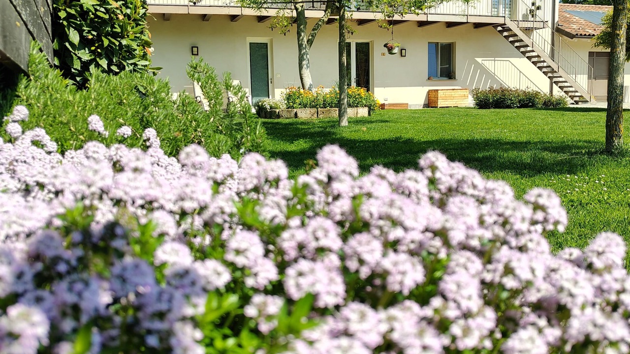 Photo of Outdoor in Alba