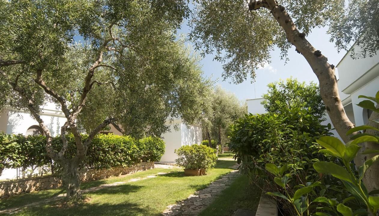 Photo of Outdoor in Mattinata