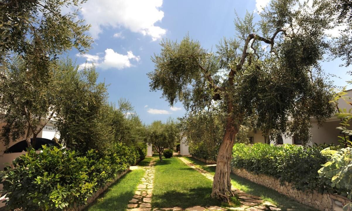 Photo of Outdoor in Mattinata