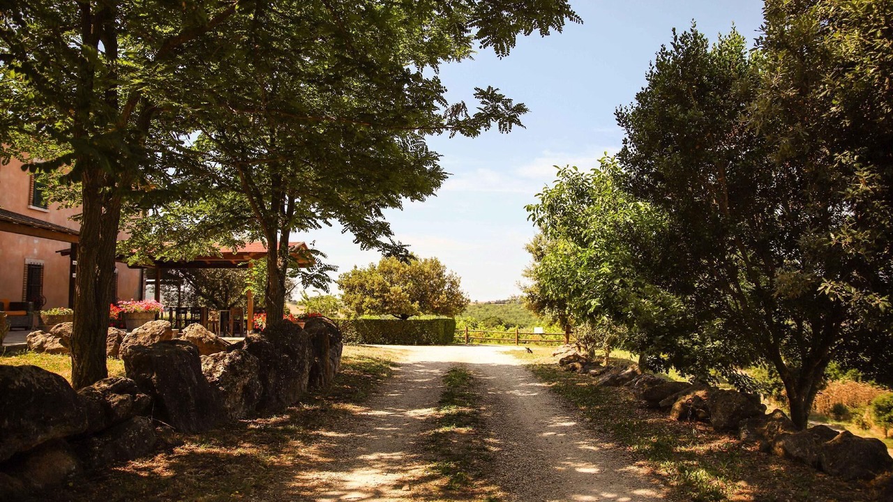 Photo of Outdoor in La Campigliola
