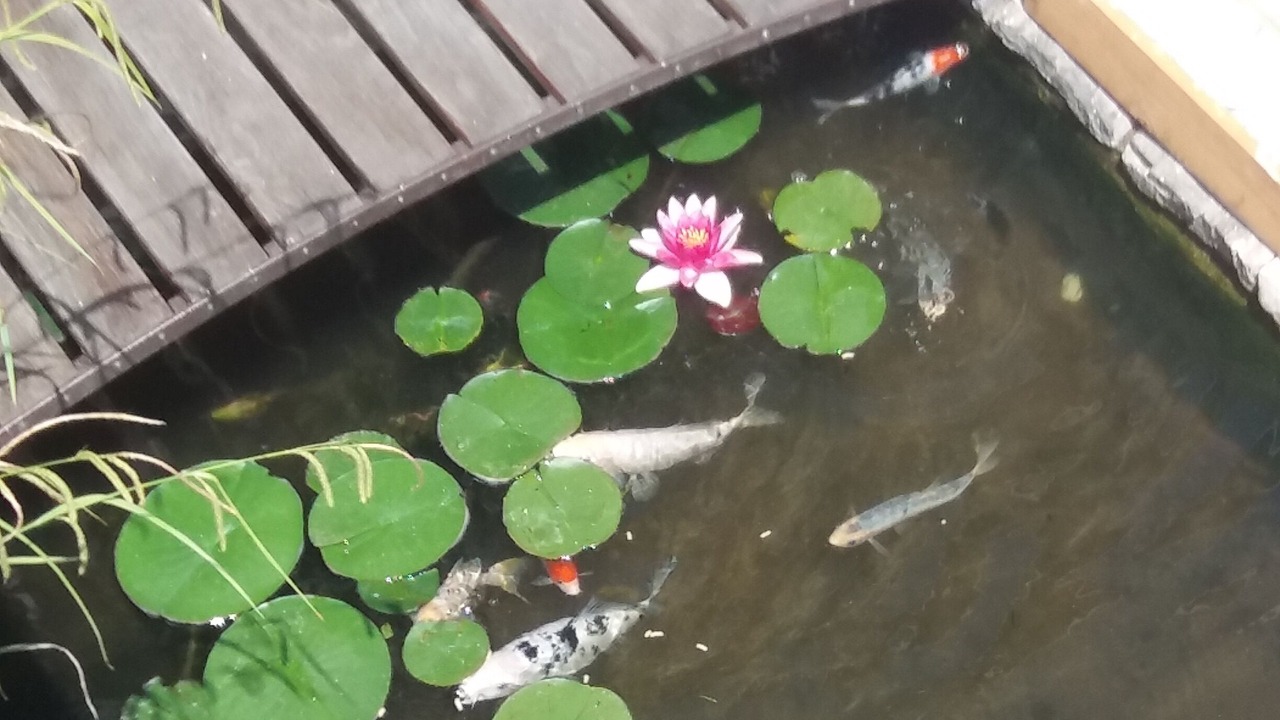 Photo of Others in Cava de' Tirreni