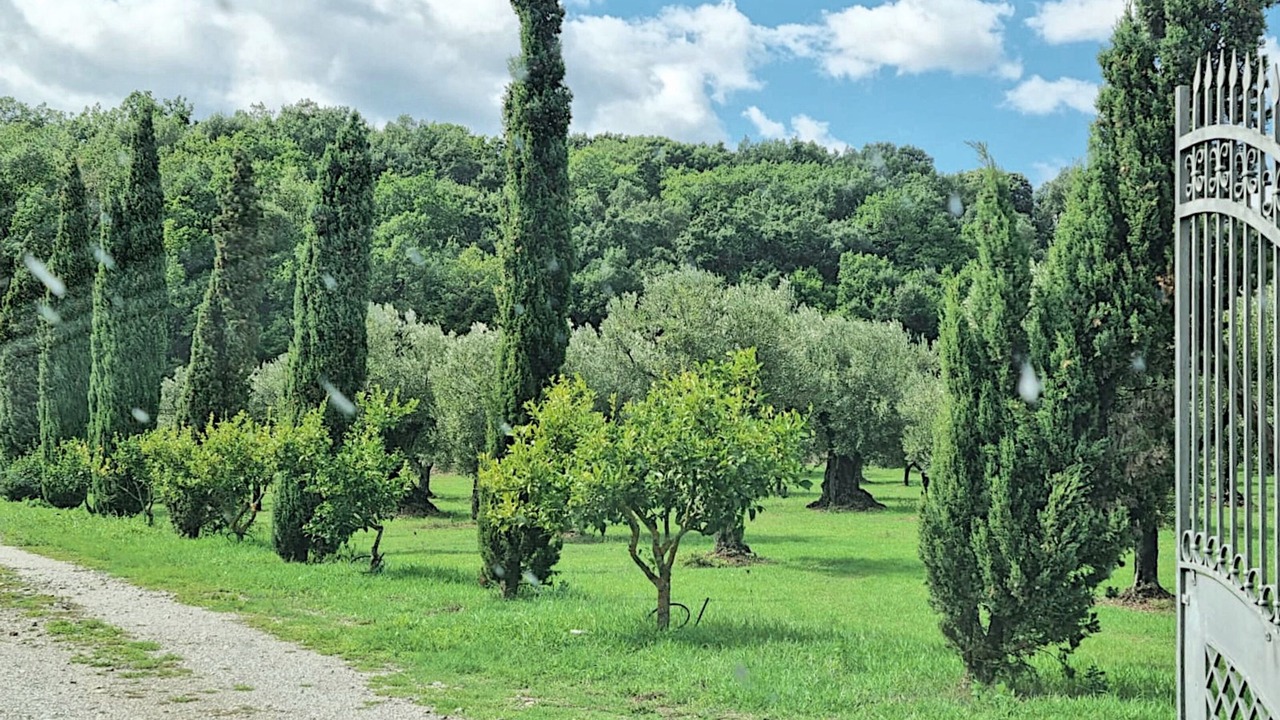 Photo of Outdoor in Feroleto Antico