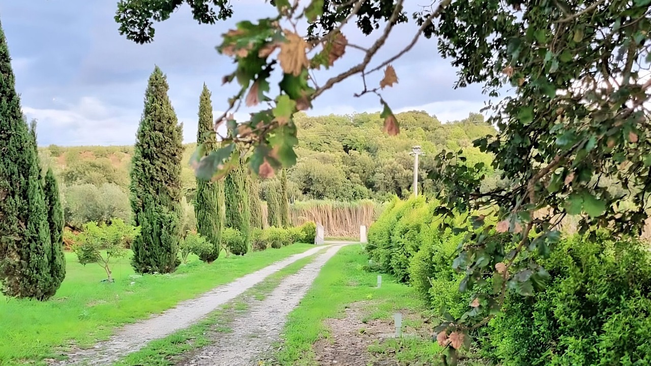 Photo of Outdoor in Feroleto Antico