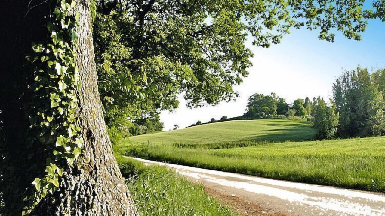Photo of Outdoor in Monterado